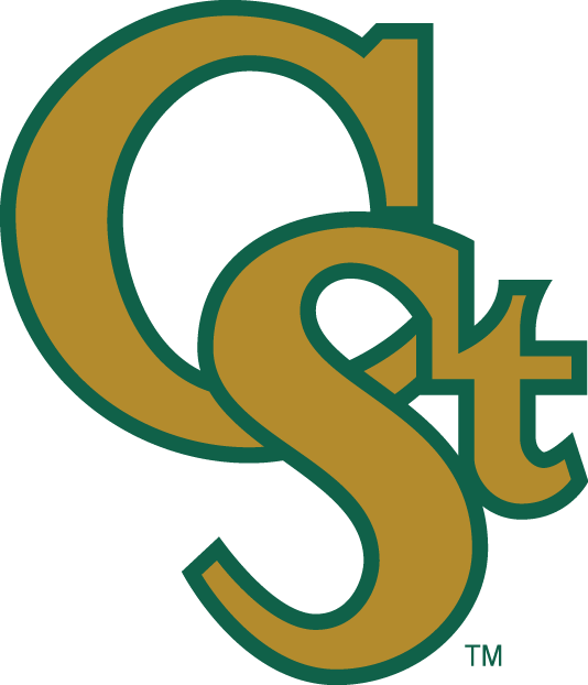 Colorado State Rams 1993-2015 Secondary Logo DIY iron on transfer (heat transfer)